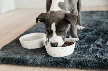 Hovedbilde Skåler/Automater