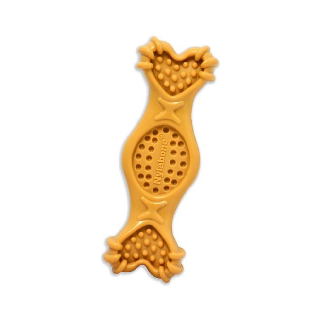 Hovedbilde NYLABONE EXTREME CHEW FILL IT TREAT TOY, M 
