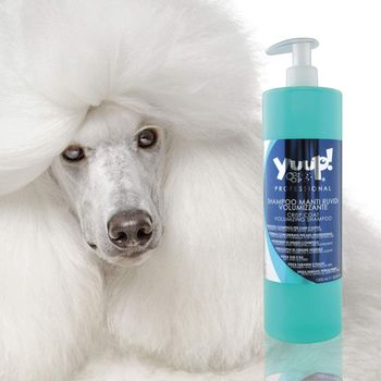 Hovedbilde Sjampo / Balsam