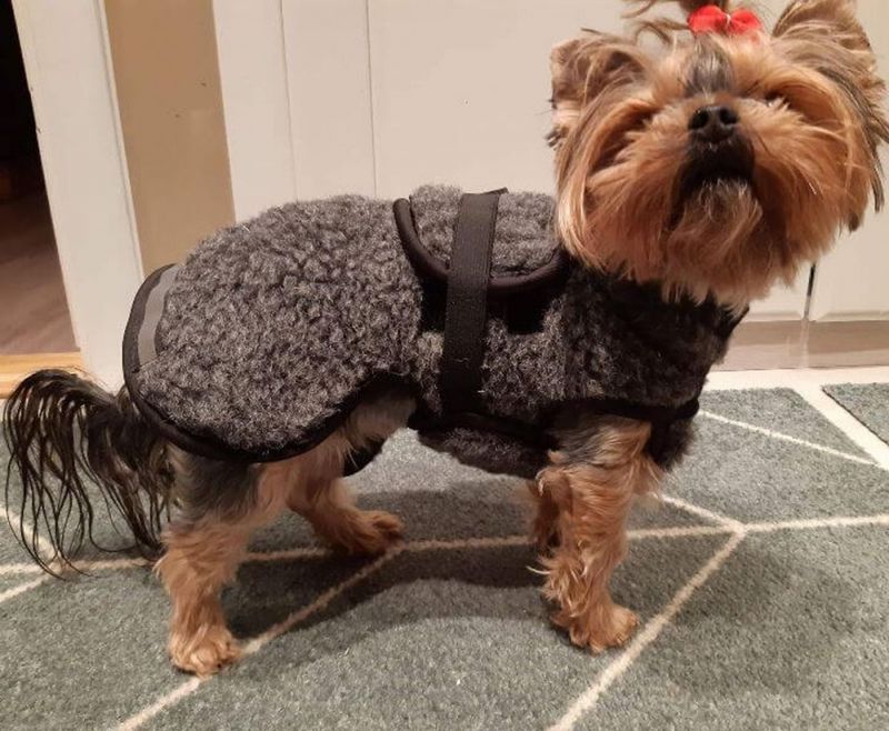 CANELANA AMBASSADØR ULLDEKKEN