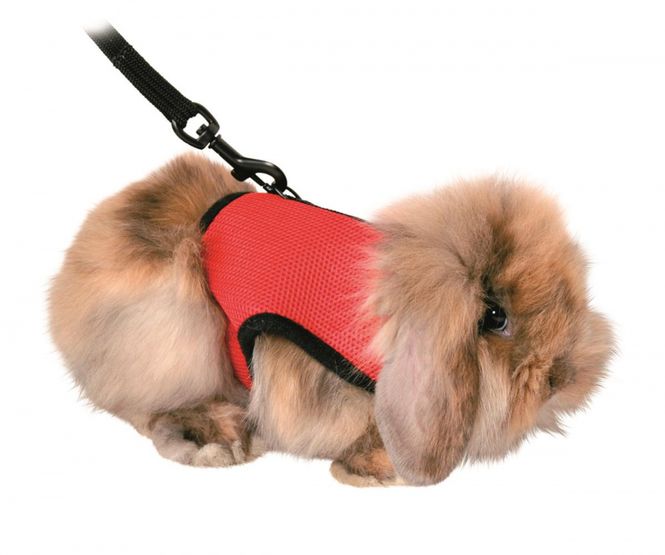 Hovedbilde TRIXIE SOFT SELE M/BORRELÅS MARSVIN