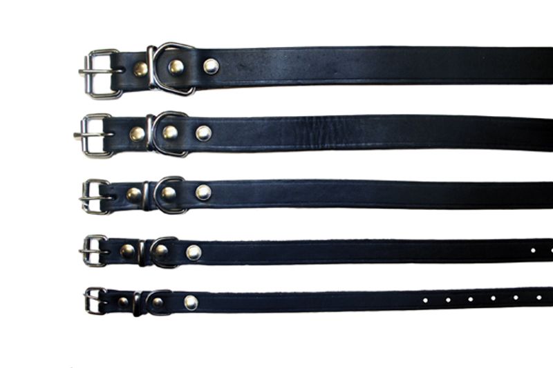 PETNATION LÆR HALSBÅND SORT 65cm/25mm