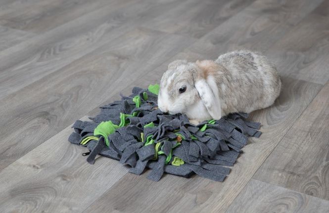 Hovedbilde TRIXIE SNUSEMATTE GRØNN/GRÅ 27x20cm