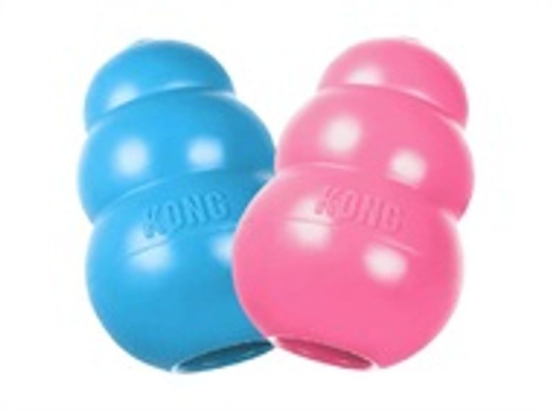 KONG PUPPY M