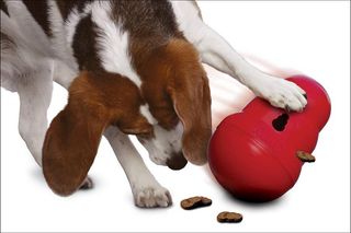 KONG WOBBLER L
