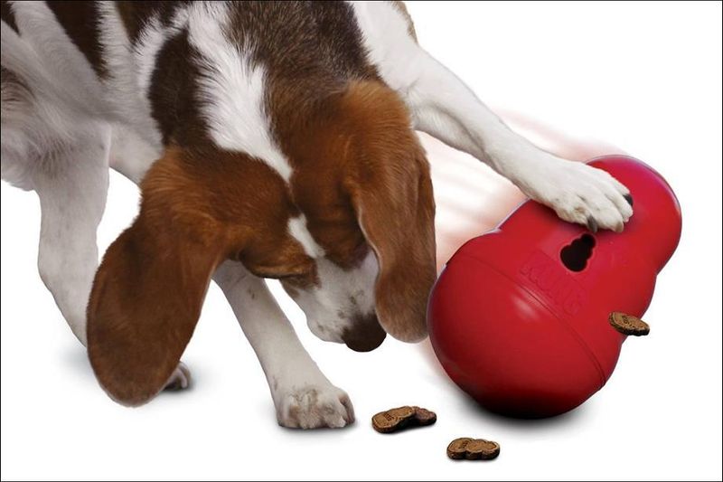 KONG WOBBLER L