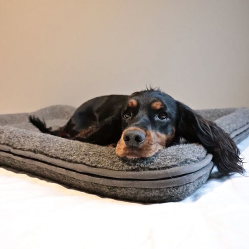 CANELANA ULLSENG M/OPPHØYDE KANTER