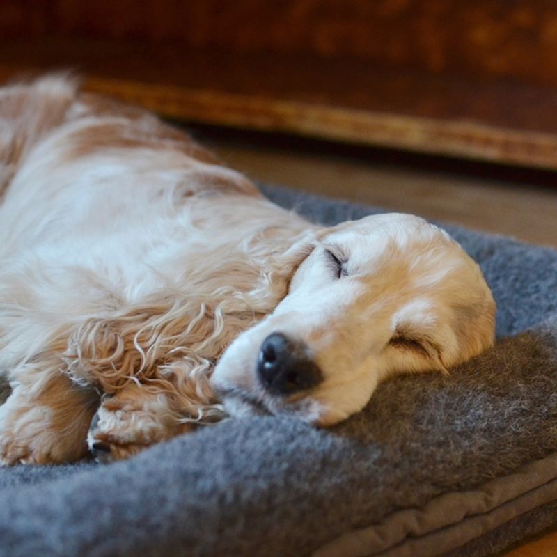 CANELANA ULLSENG M/OPPHØYDE KANTER