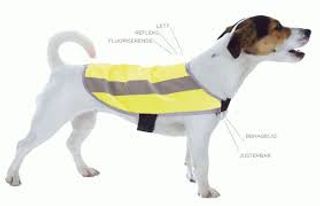 TASS EASY REFLEKSVEST M