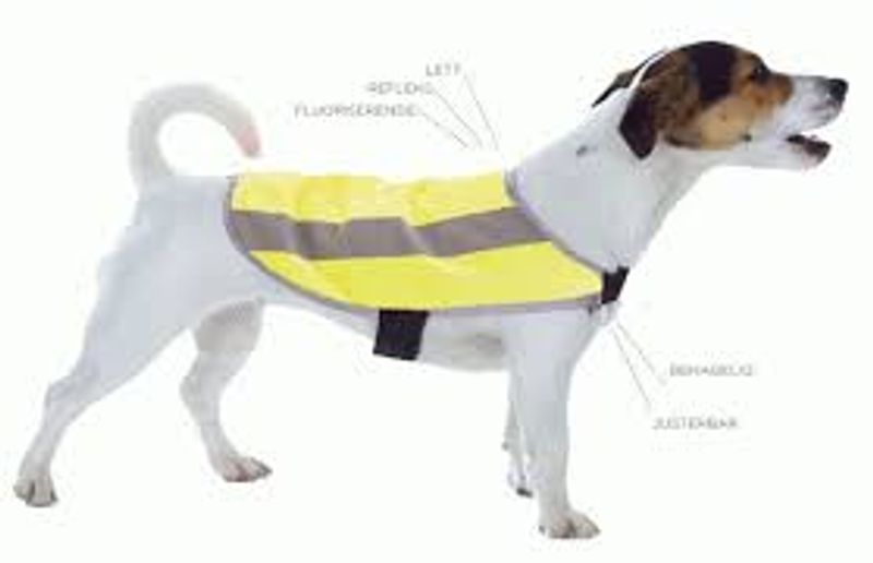 TASS EASY REFLEKSVEST M