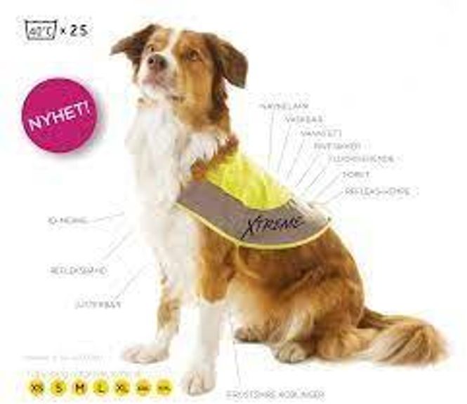 Hovedbilde TASS XTREME REFLEKSVEST