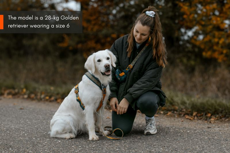 LINE HARNESS RACHEL POHL EDITION