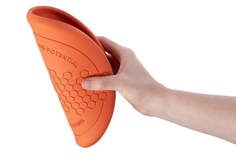 Hunde frisbee 