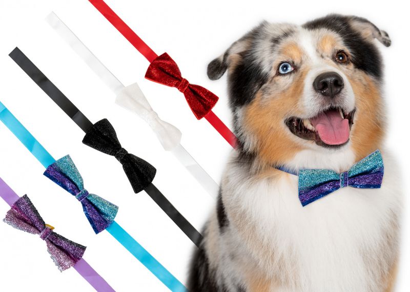 Groomers Sparkle bows 10stk