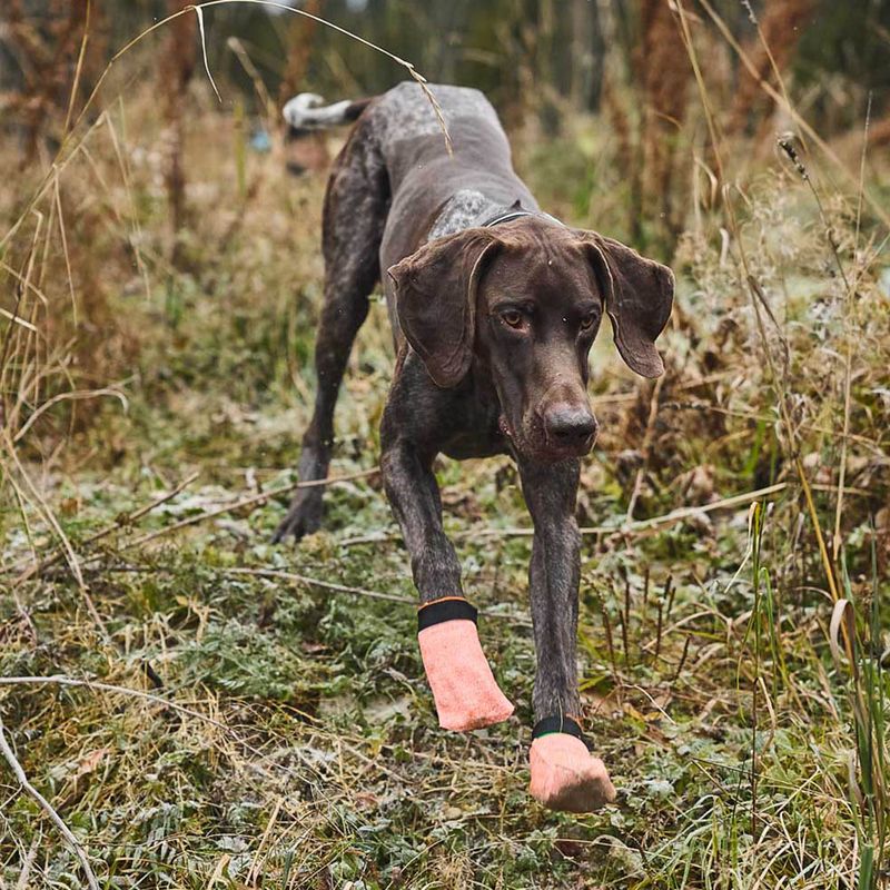 NONSTOP PROTECTOR LIGHT SOCKS
