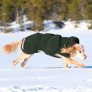 CANELANA SELVA ULLDEKKEN