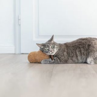Katteleke Peanut XXL M/US Catnip 20cm