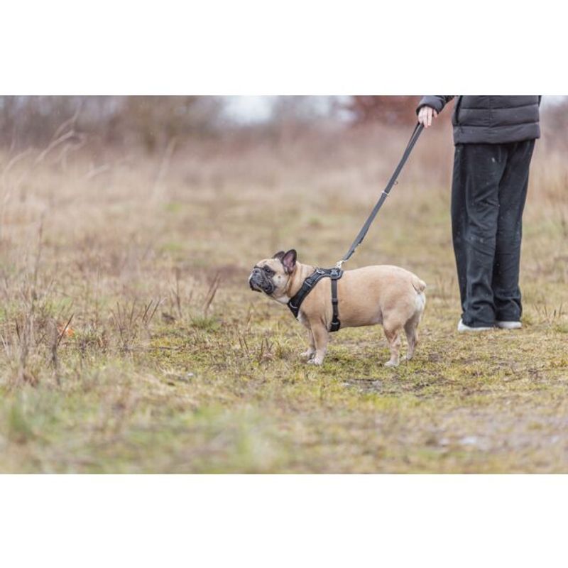 FLEXMESH HUNDESELE