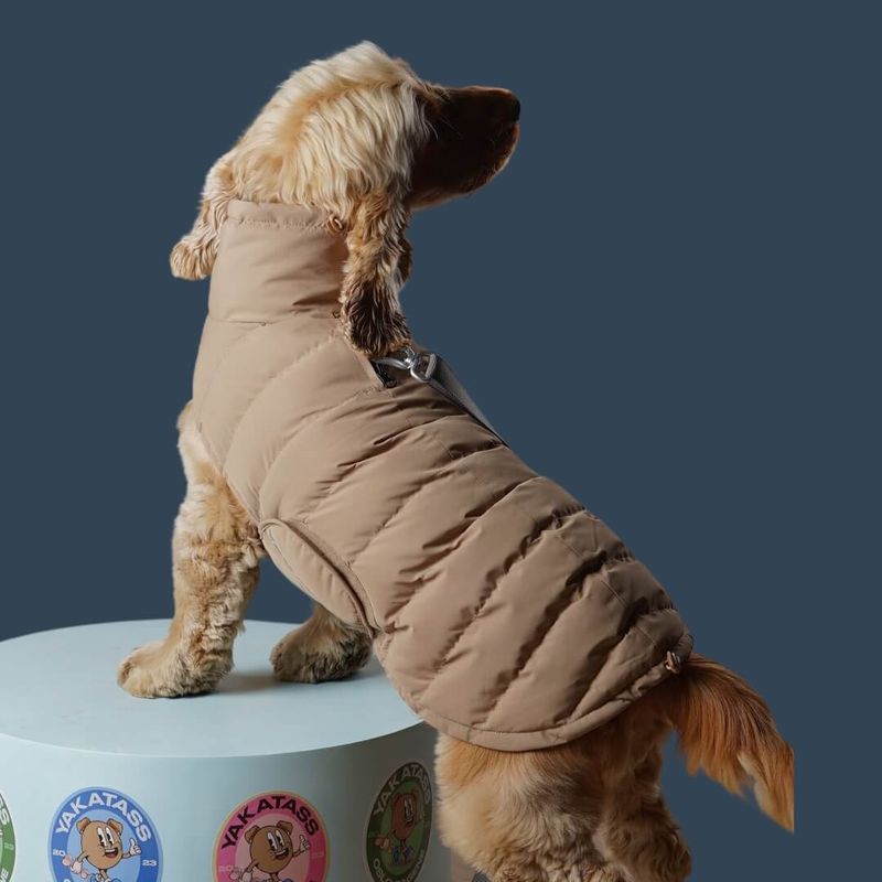 Yakatass Vinterjakke Beige - Intro tilbud 