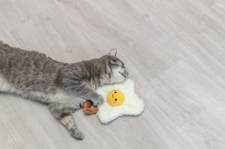 Katteleke Fried Egg XXL M/US Catnip 18cm