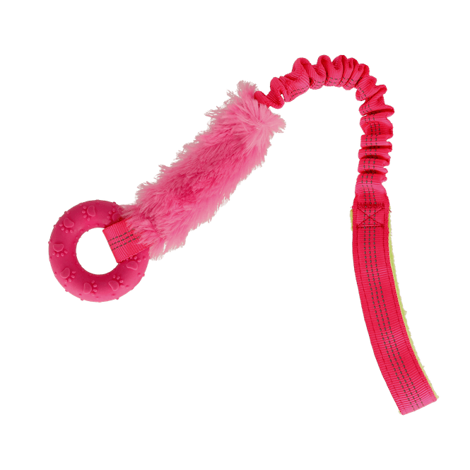 Hovedbilde PUPPY BUNGEE RING