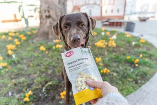 Cheese Triangles M/Frukt og Grønnsaker 80g