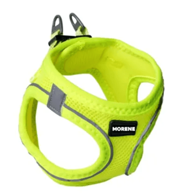 Hovedbilde MORENE SELE GUL