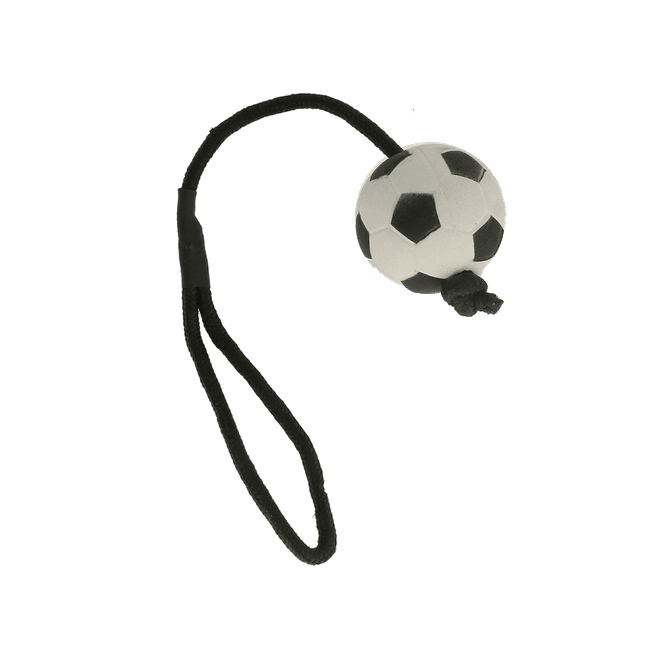 Hovedbilde LEKEBALL MED TAU