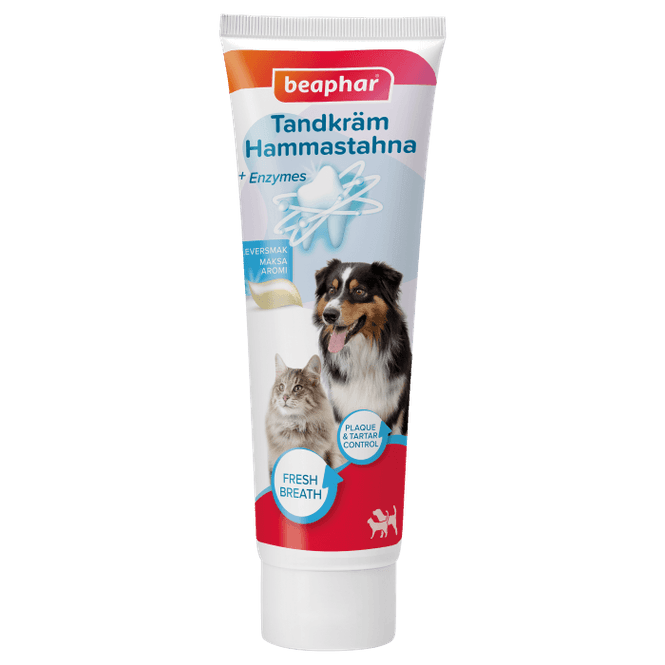 Hovedbilde TANNKREM MED ENZYMER, LEVERSMAK