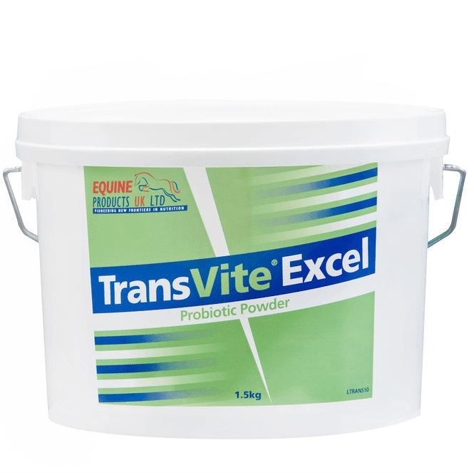 Hovedbilde Transvite Excel Powder – Høykonsentrert ...