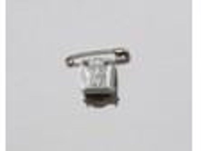 Hovedbilde UTSTILLINGSNÅL PÅ KLYPE