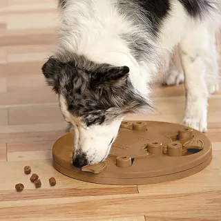 DOG WORKER - AKTIVISERINGSLEKE