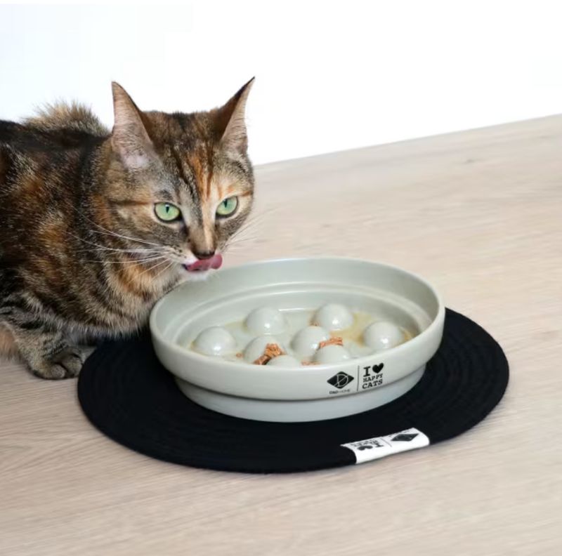 DUE CERAMIC SLOW FEEDER