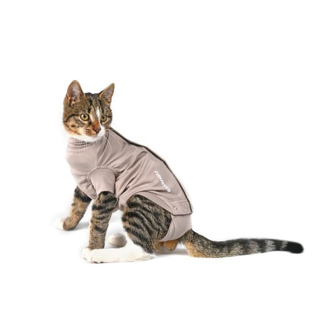 Hovedbilde BUSTER BODY SUIT STEP´N GO KATT